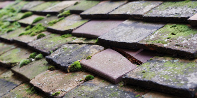 Frenchay roof repair costs